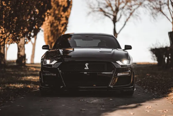 אוג קזינו אפליקציית Android/iOS